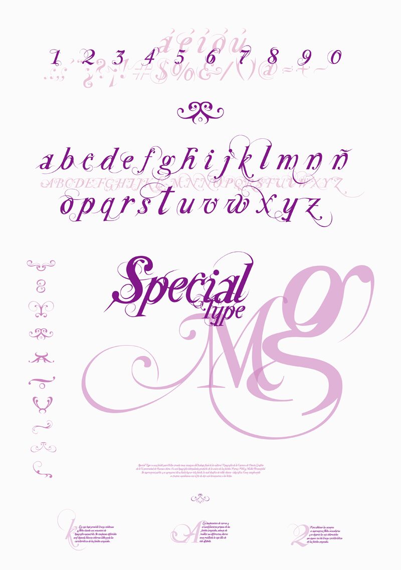 Special Type