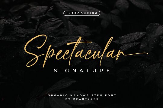 Spectacular Signature