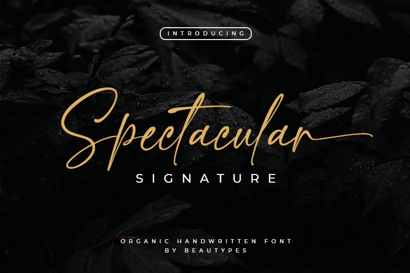 Spectacular Signature