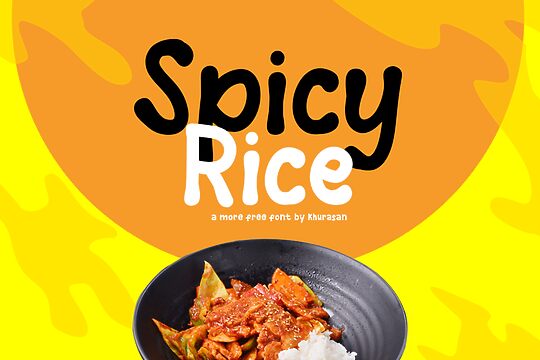 Spicy Rice