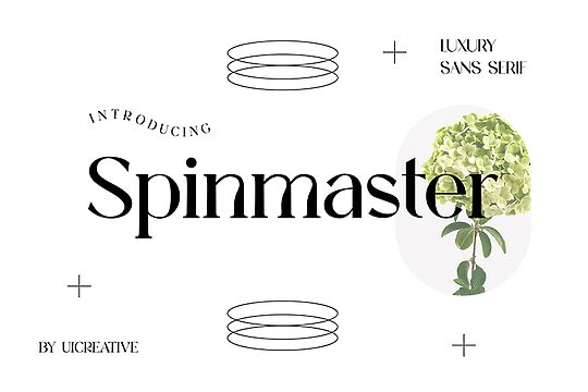 Spinmaster