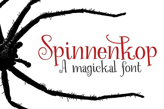 Spinnenkop