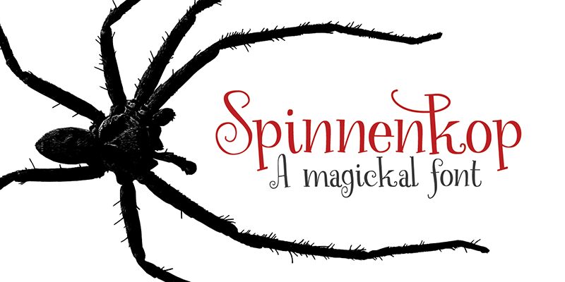 Spinnenkop