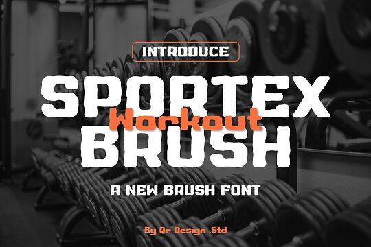 Sportex Workout Brush