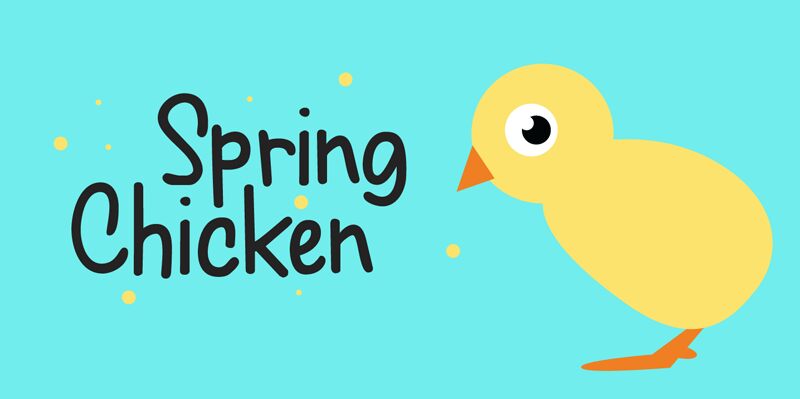 Spring Chicken