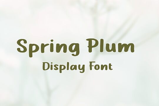 Spring Plum