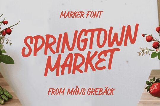 Springtown Market