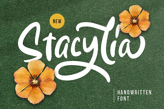 Stacylia