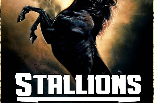 Stallions