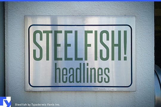 Steelfish