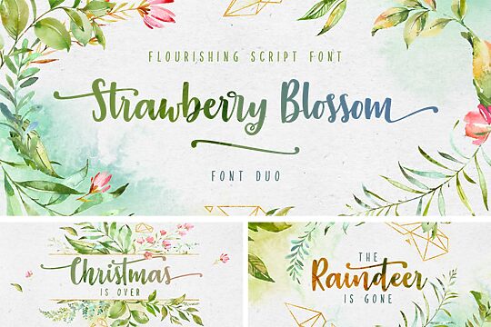 Strawberry Blossom