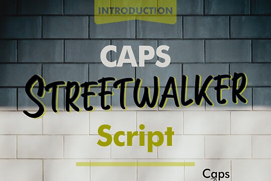 Streetwalker Script