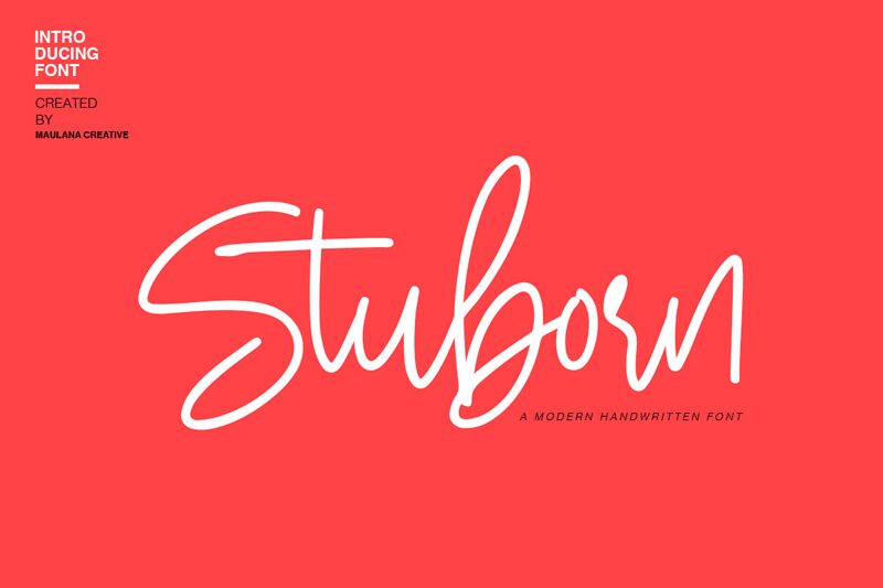 Stuborn