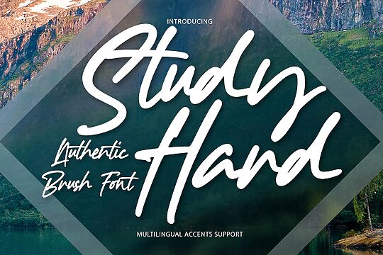 Study Hard