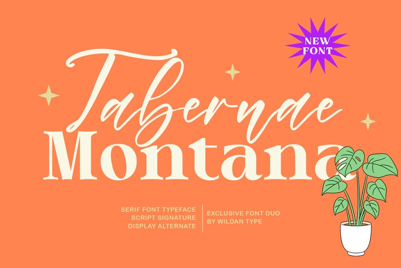 Tabernae Montana Script