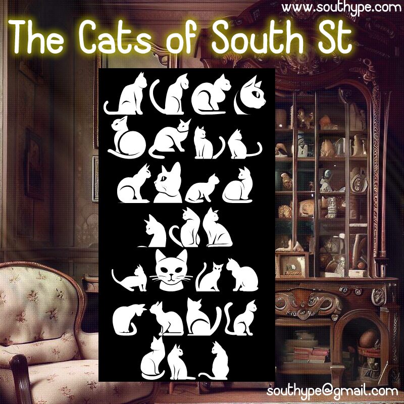 The Cats of South St