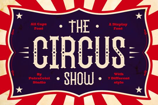 The Circus Show