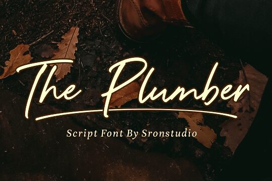 The Plumber