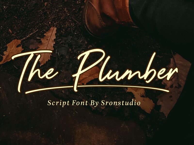 The Plumber