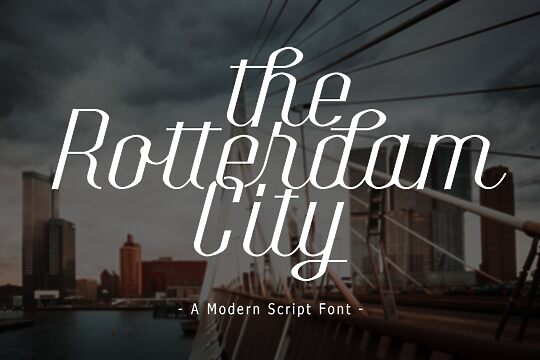 The Rotterdam City