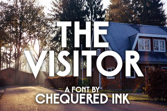 The Visitor