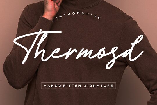 Thermosd