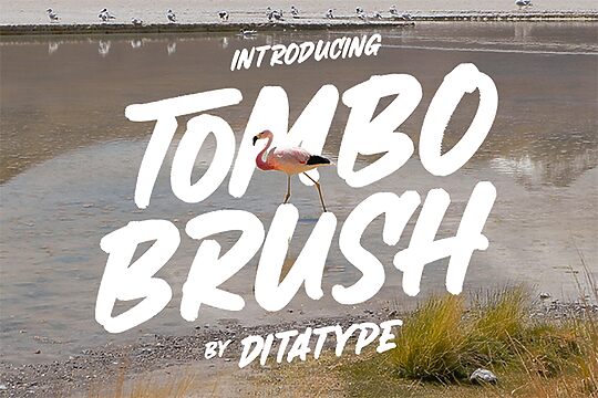 Tombo Brush