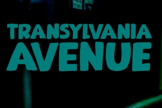 Transylvania Avenue