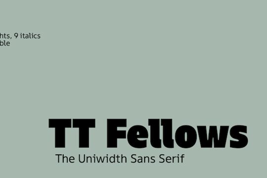 TT Fellows