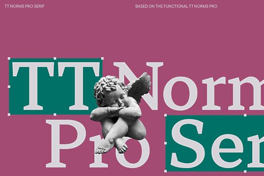 TT Norms Pro Serif