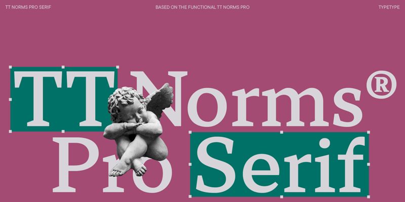 TT Norms Pro Serif