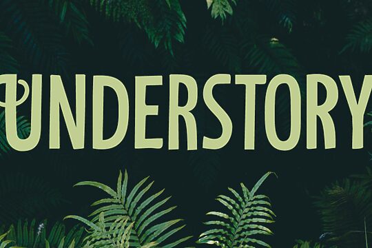 Understory