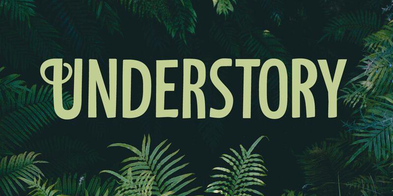 Understory