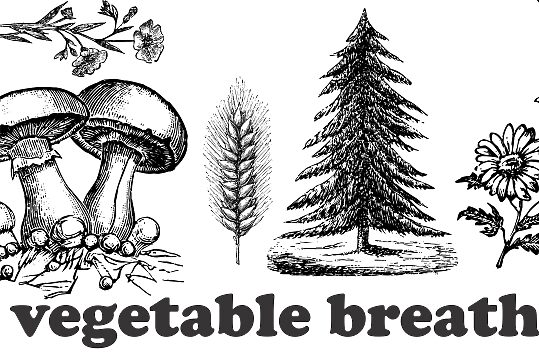Vegetable Breathe
