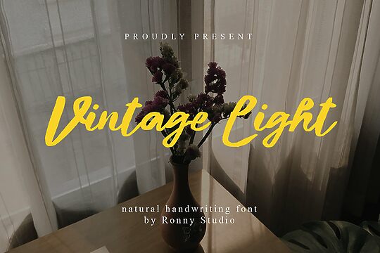 Vintage Light