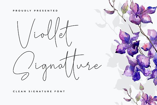 Viollet Signatture