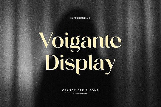 Voigante Display