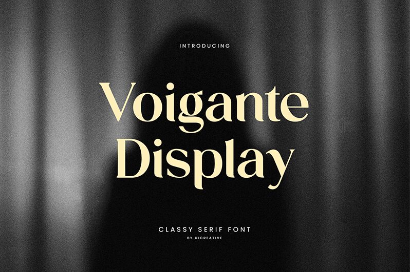 Voigante Display