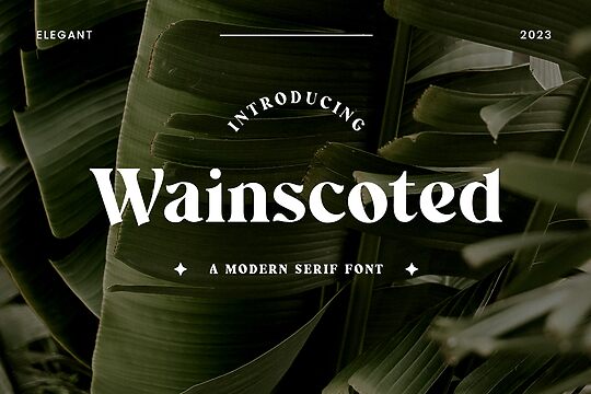 Wainscoted