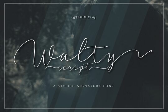 Walty Script