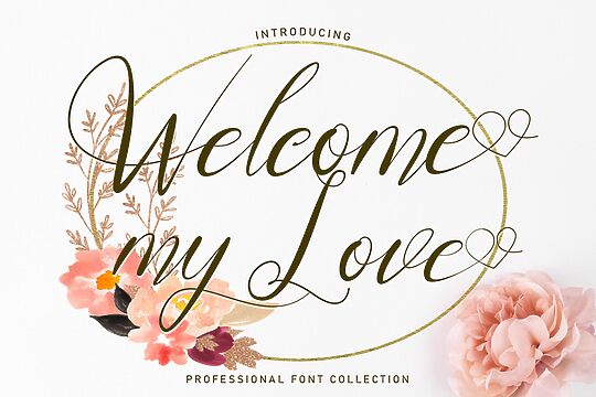 Welcome My Love