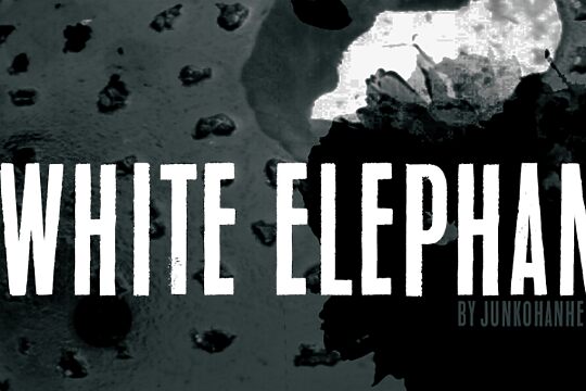 White Elephant