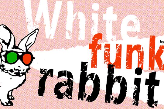 White funky rabbit