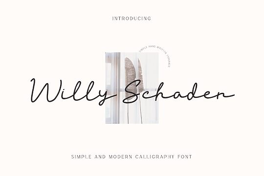 Willy Schaden