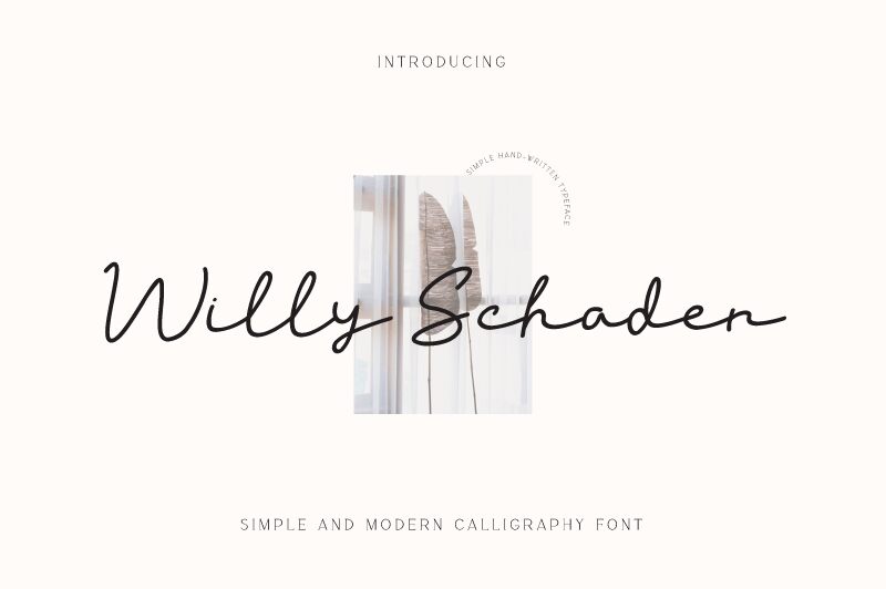 Willy Schaden
