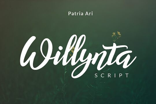 Willynta Script