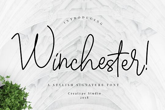 Winchester