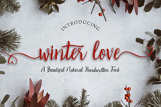 Winter Love