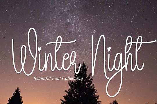 Winter Night