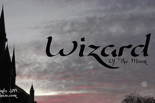 Wizard Of The Moon